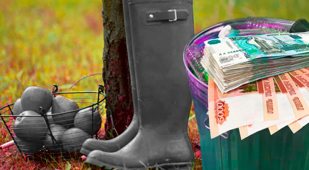 Какие штрафы грозят владельцам земельных участков