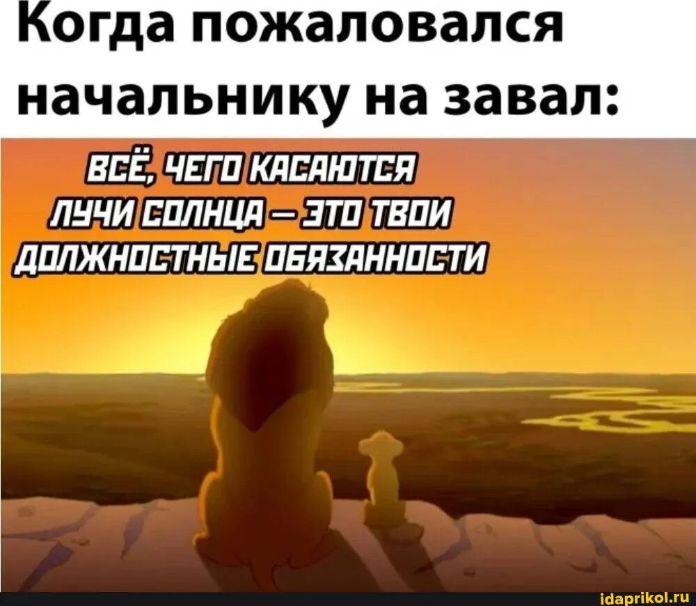 Зачастую главбух выполняет обязанности сразу за несколько специалистов