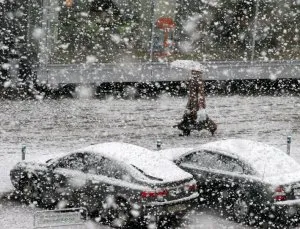 2007 год может стать рекордным по температурам в Москве