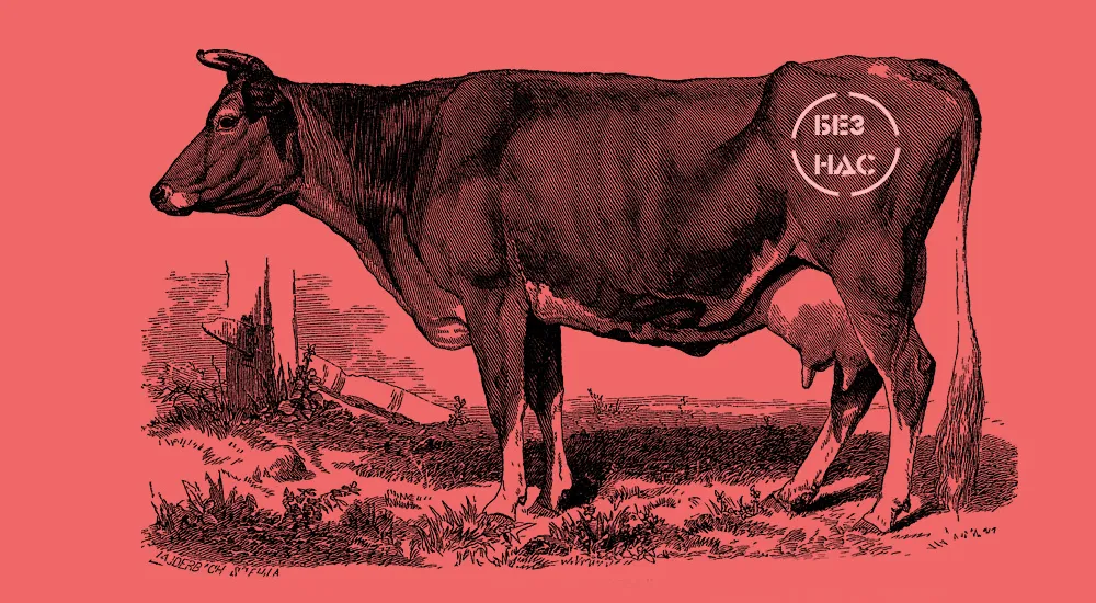 Любой скотовод может обнулить вашу декларацию по НДС