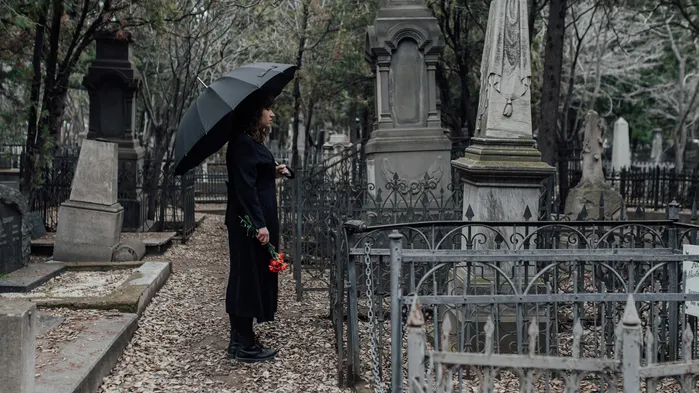 Завещание или дарственная — что лучше и дешевле в 2026 году