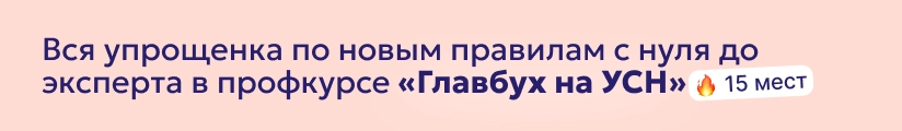 ЦОК КПП УСН 03.06 Мобильный