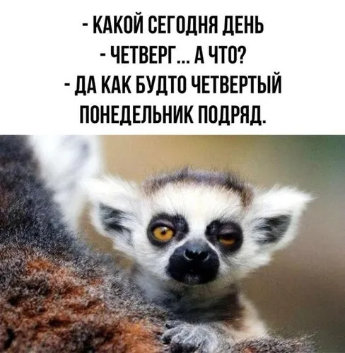 С 1 сентября 2025 года заработают новые правила по ОКВЭД. 📃«Ночной бухгалтер» № 1959