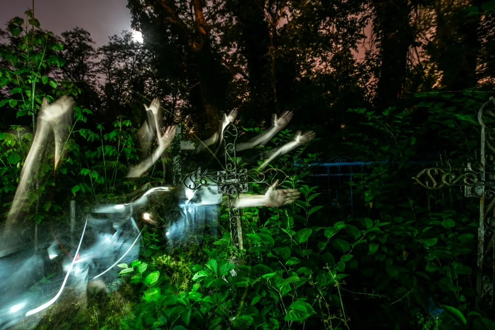 В России появится Роспохороннадзор