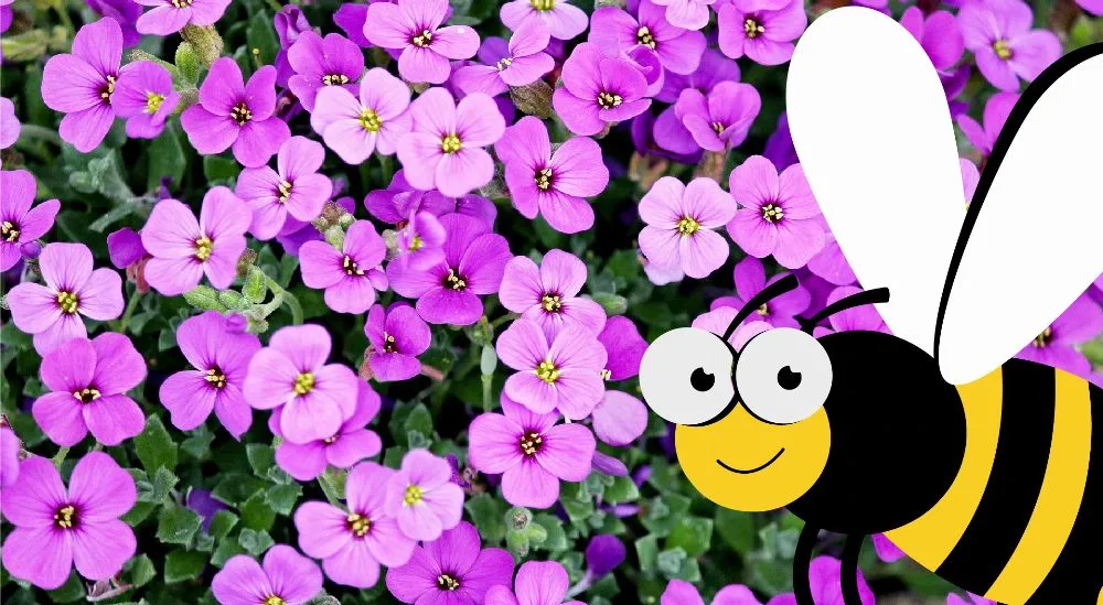 Такснет-Референт — дополнительный источник дохода бухгалтеров