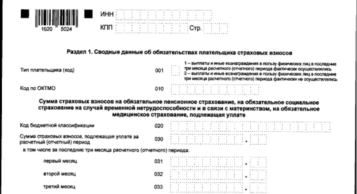 Рсв за 2025 год новая форма пример