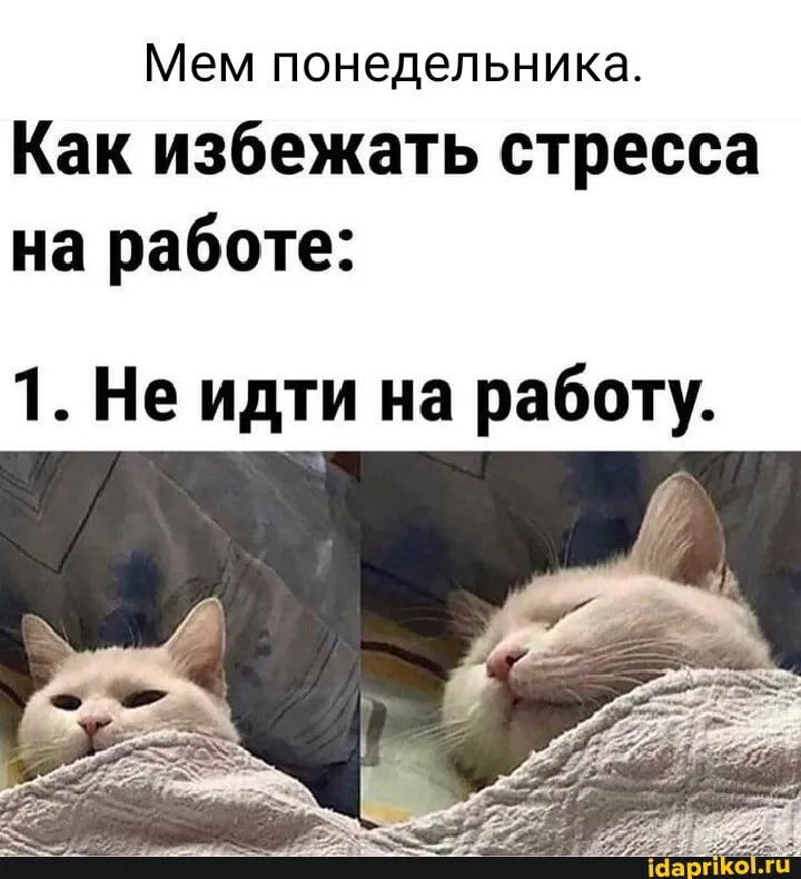 А вы сегодня были на работе?