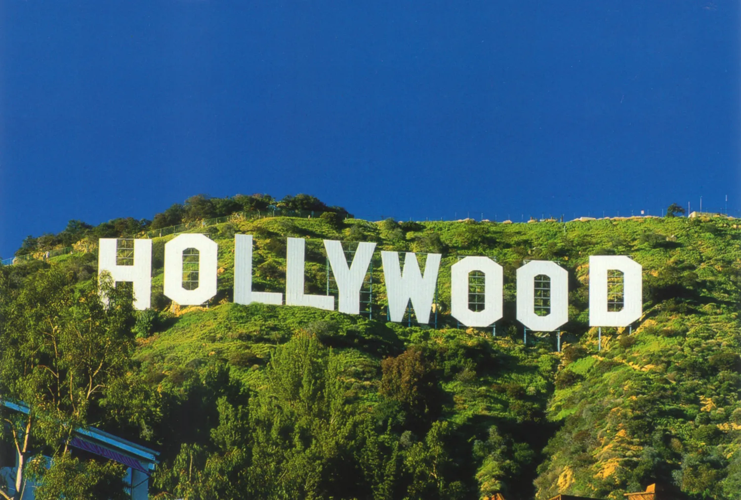 Голливуд откроет онлайн-доступ к фильмам