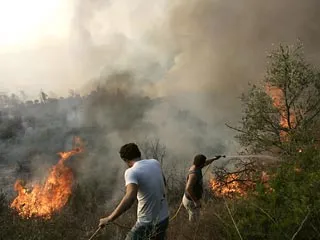 В Греции бушуют лесные пожары