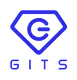 Логотип компании ГК «ГИТС»