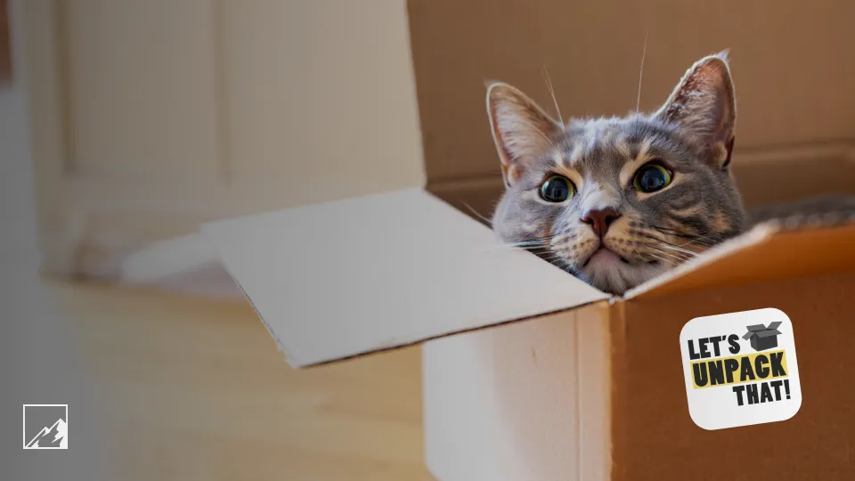 🏆 Пополнил брокерский счёт на 200 000 в июле. Жду рекордные дивиденды Сбера. Что купил? Часть 1