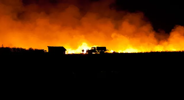 Площадь лесных пожаров в Сибири сократилась вдвое