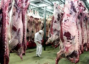Россия снимет ограничения на поставку польского мяса