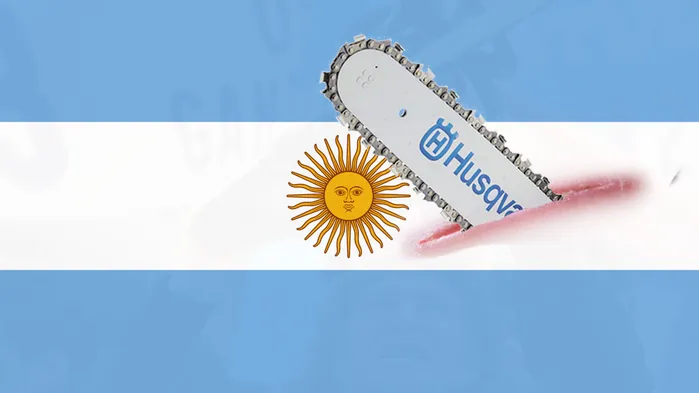 Президент с бензопилой. Новый глава Аргентины Хавьер Милей и его эксцентричные взгляды