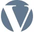 Логотип компании VANTIRE