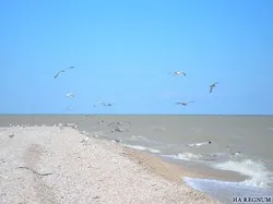 Туриста, смытого цунами в Азовское море, ищет вертолёт