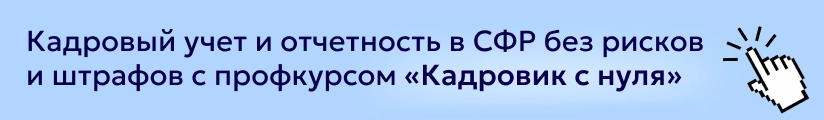 ЦОК КПП Кадр 30.05 Мобильный