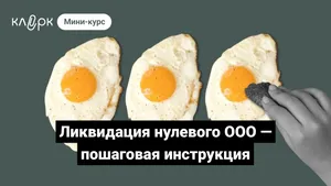 Ликвидация нулевого ООО — пошаговая инструкция. Мини-курс