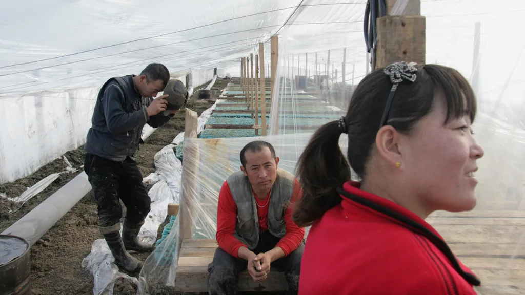 В 2015 году Россия может принять более 126 тысяч мигрантов