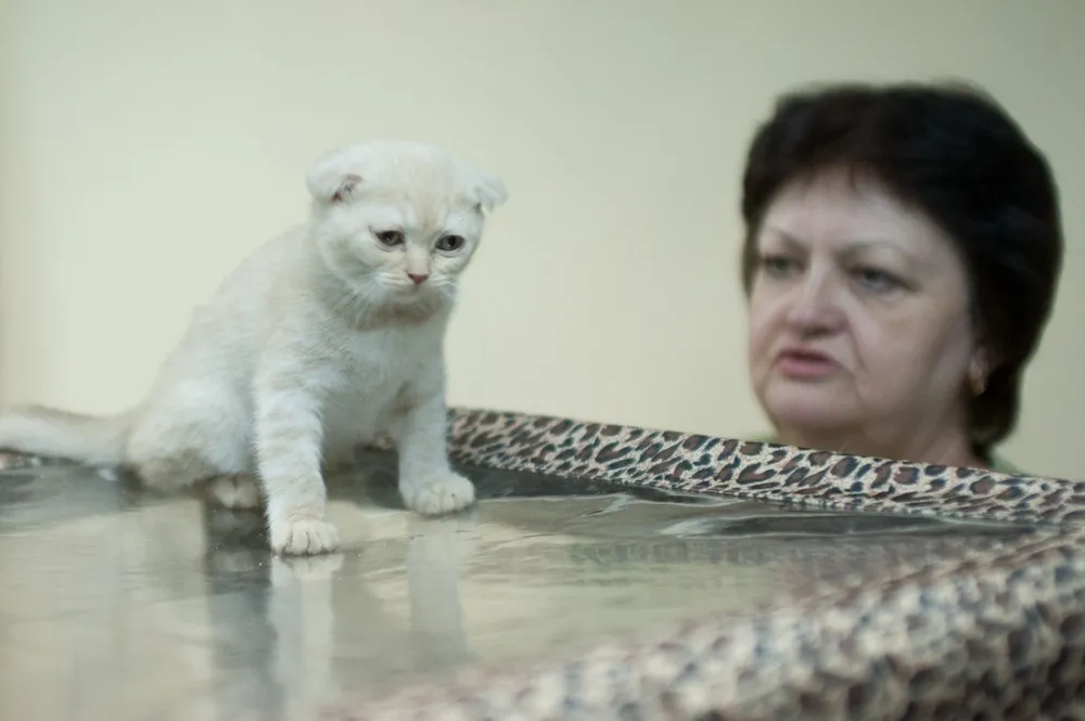 Памятка для занятого бухгалтера