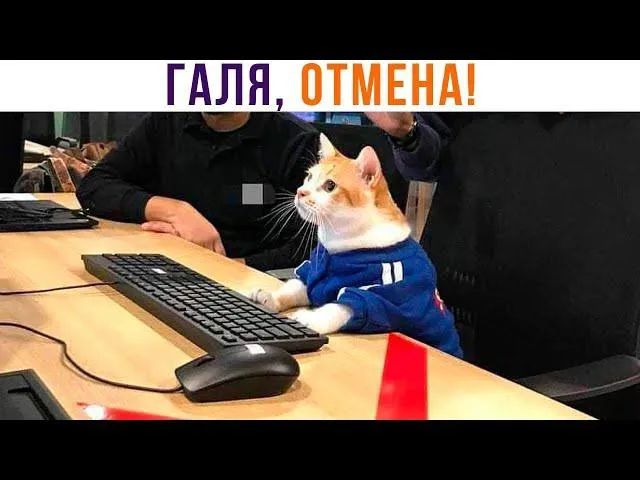 NGEyNWQxLnBuZw.webp