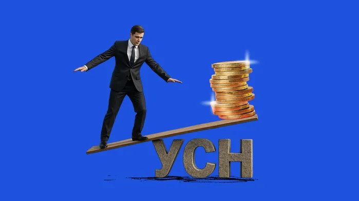 Какие доходы надо учитывать, а какие нет на УСН