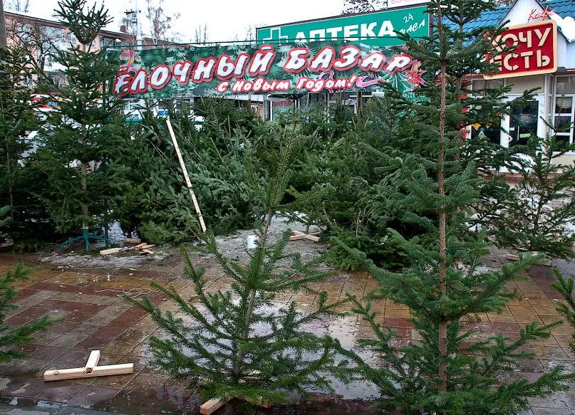 Праздник маленьких убийств