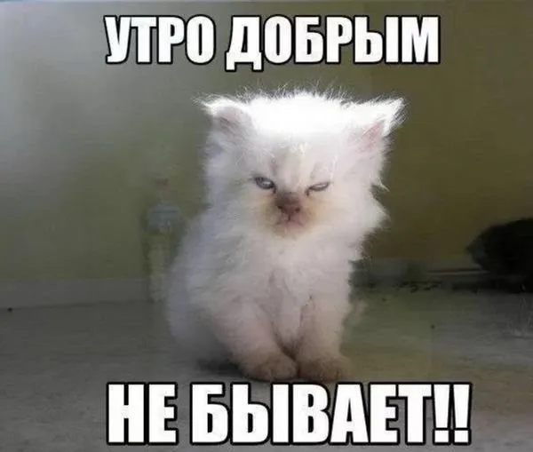 Выглядитетаксутра?Порачто-топоменять!