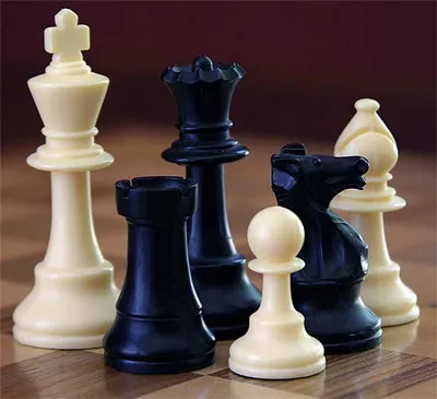 Грузинские шахматистки отказались участвовать в ЧМ в РФ
