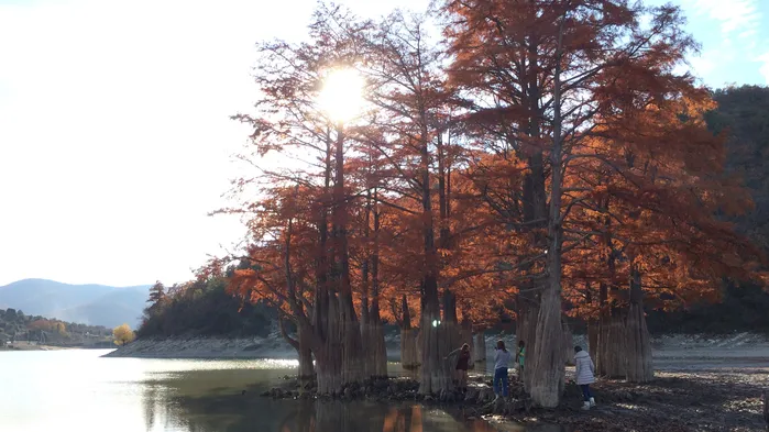 Куда поехать рядом с Краснодаром: топ-5 мест 