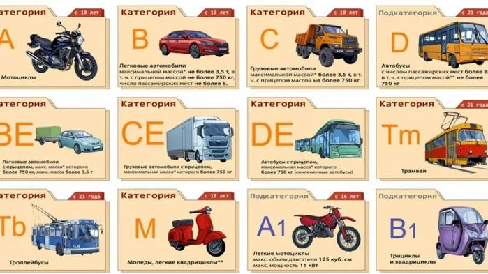 Категории и подкатегории водительских прав в 2024 году
