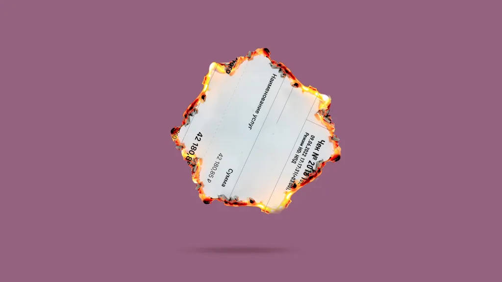 Что делать, если самозанятый аннулировал чек