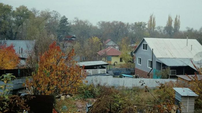 Новый обзор практики Верховного Суда: ваша дача — не самострой, а со страховщика — штраф