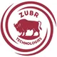 Логотип компании ZUBR Technologies