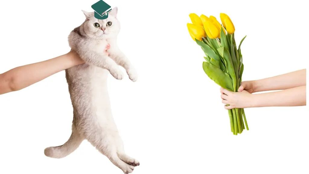 Как определить ликвидационную стоимость основных средств, прав пользования активами и нематериальных активов в бухгалтерском учете