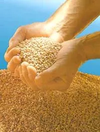 Утвержден перечень стратегически важных продуктов питания