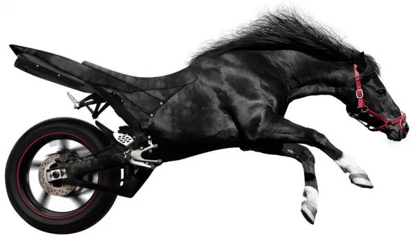 Транспортный налог для сельхозтранспорта: когда и при каких условиях платить