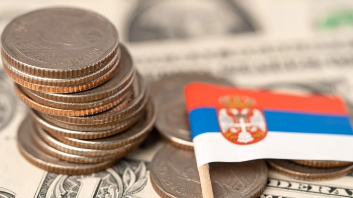 Паушальная система налогообложения в Сербии. Особенности и возможности налоговой экономии для предпринимателей