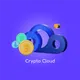 Логотип пользователя Crypto Cloud