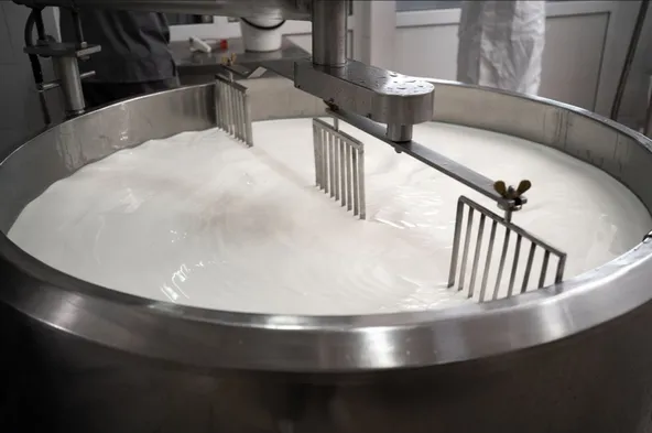 Идея для бизнеса: Производство молока с нуля