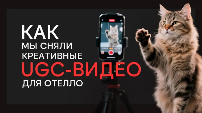 Какие креативы работают лучше: наш опыт продвижения Отелло с помощью UGC-видео