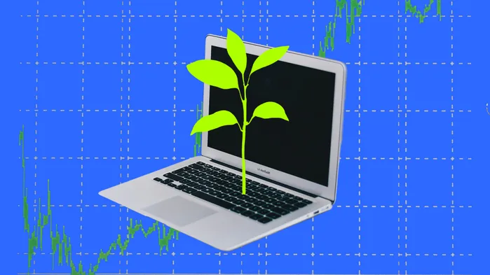 Инвестиции в акции в 2025 году: как законно сэкономить на налогах