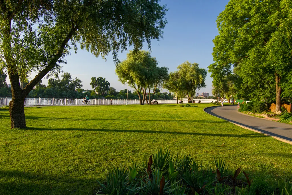 Беги, «Клерк», беги