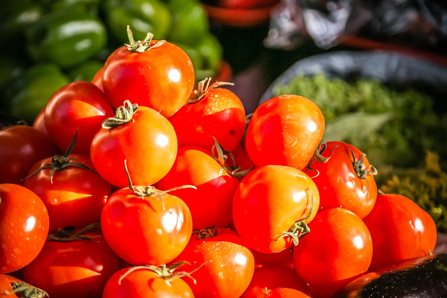 Россельхознадзор сообщил о резком росте поставок томатов из Абхазии