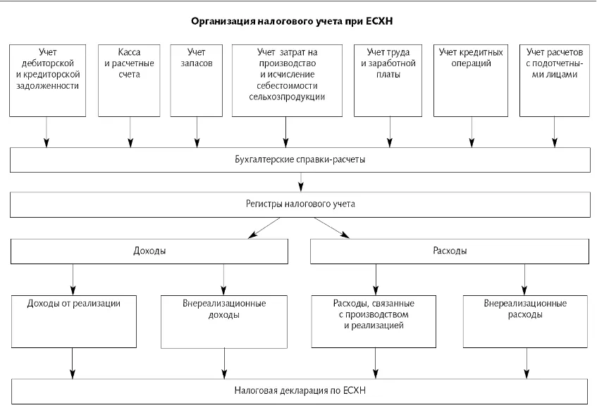 Учет в крестьянских фермерских хозяйствах. Схема учета расходов для ведения налогового учета. Схема организации налогового учета. Организация налогового учета при ЕСХН. Организация налогового учета на предприятии.