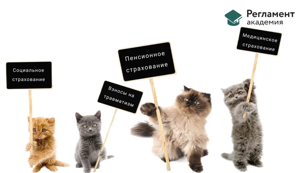Предельная база страховых взносов в 2024 году