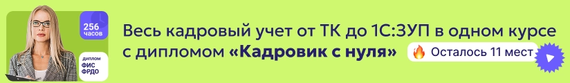 ЦОК КПП Кадр 02.06 Мобильный