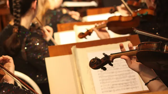 Немецкие таможенники конфисковали скрипку у известной японской исполнительницы 