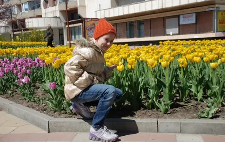 В  Краснодаре на улице встречаются всякие цветочки