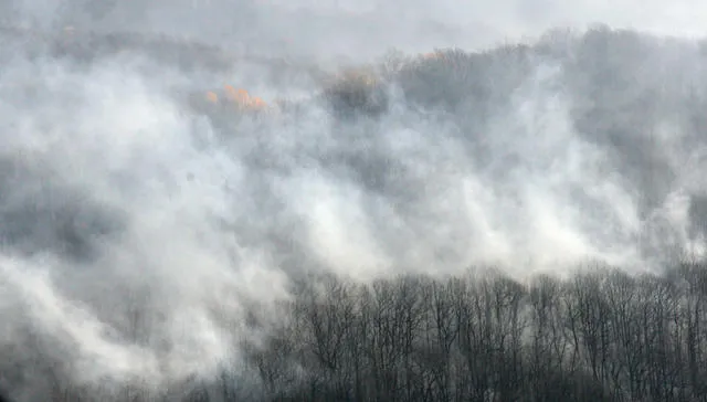 При тушении лесного пожара в Туве погибли семеро десантников-парашютистов 